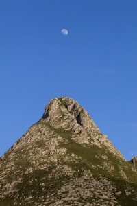 diosa-luna diosa-luna